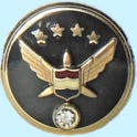 UAL Retirement Pin
